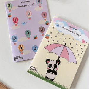 BUNDLE Wipe Clean Numbers 0-10 & Lower Case Letters Workbooks