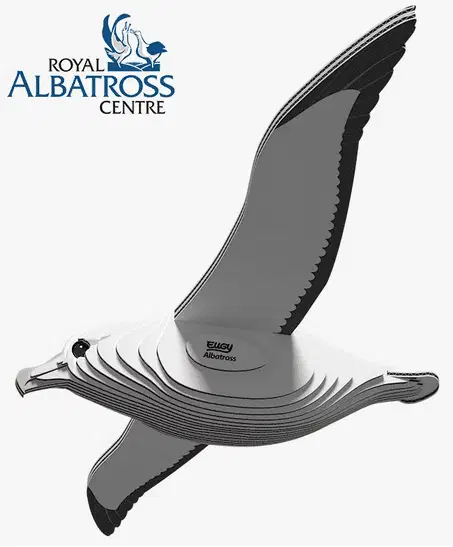 Eugy Royal Albatross