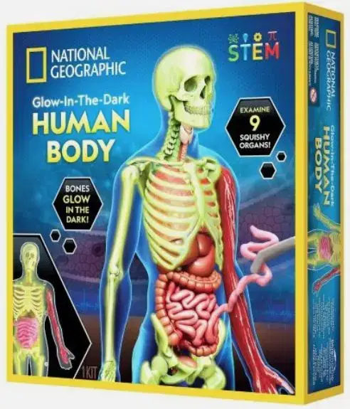 National Geographic Science Kit Glow in the Dark Human Body